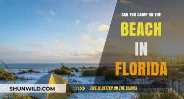 Camping on Florida's Beaches: Rules, Tips, and Best Spots