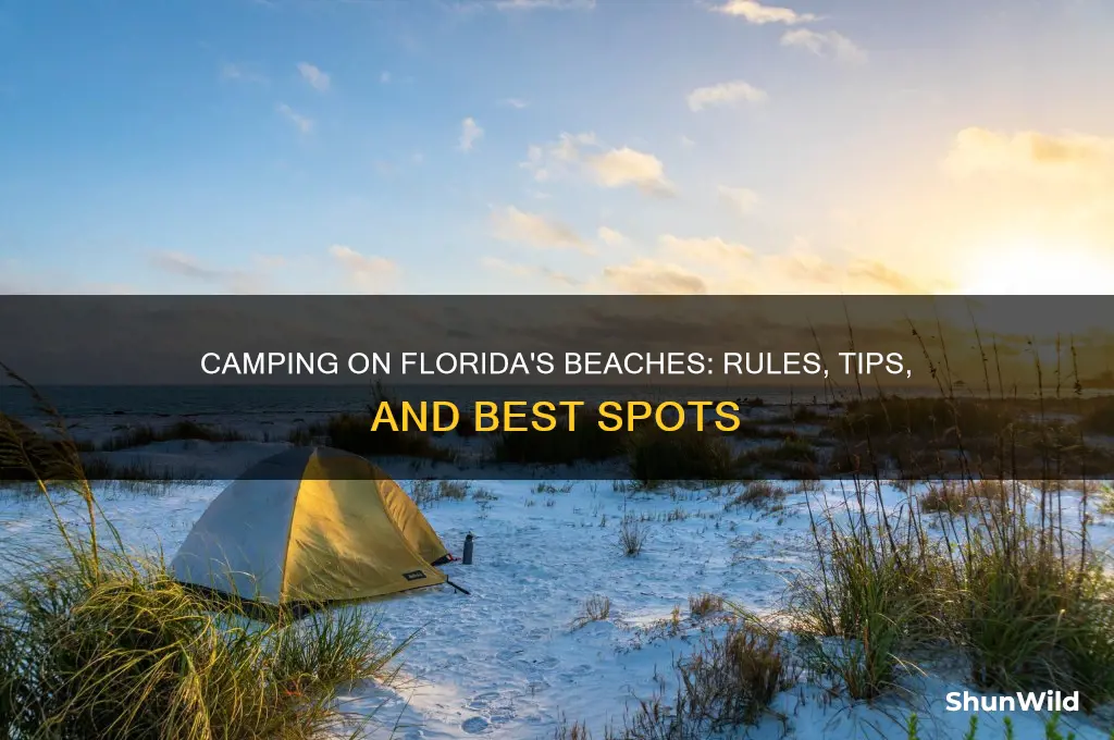 can you camp on the beach in florida