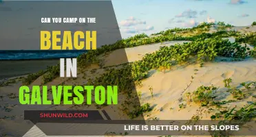 Beach Camping in Galveston: Rules, Tips, and Best Spots to Stay