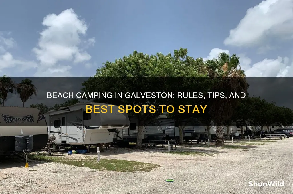 can you camp on the beach in galveston
