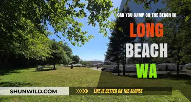 Beach Camping in Long Beach, WA: Rules, Tips, and Best Spots