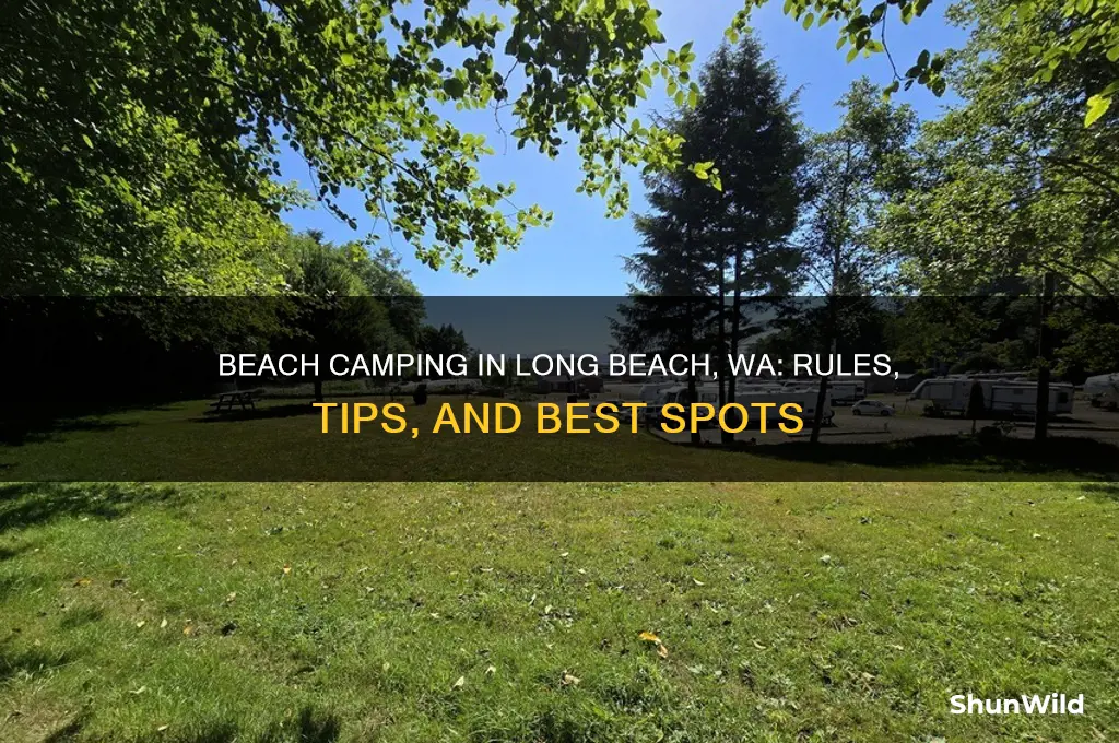 can you camp on the beach in long beach wa