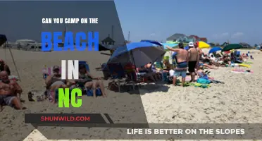 Beach Camping in NC: Rules, Best Spots, and Tips for a Perfect Trip