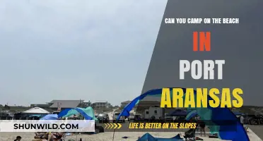 Beach Camping in Port Aransas: Rules, Tips, and Best Spots