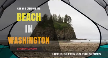 Beach Camping in Washington: Rules, Best Spots, and Tips