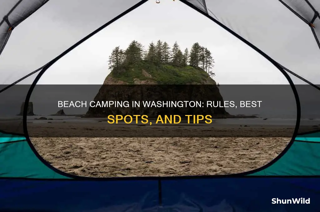 can you camp on the beach in washington