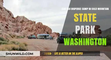 Disperse Camping in Gold Mountain State Park: Washington's Hidden Gem