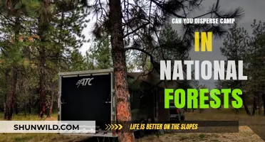 Disperse Camping in National Forests: Rules, Tips, and Best Practices