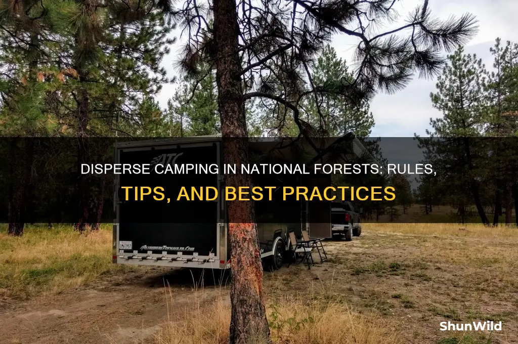 can you disperse camp in national forests