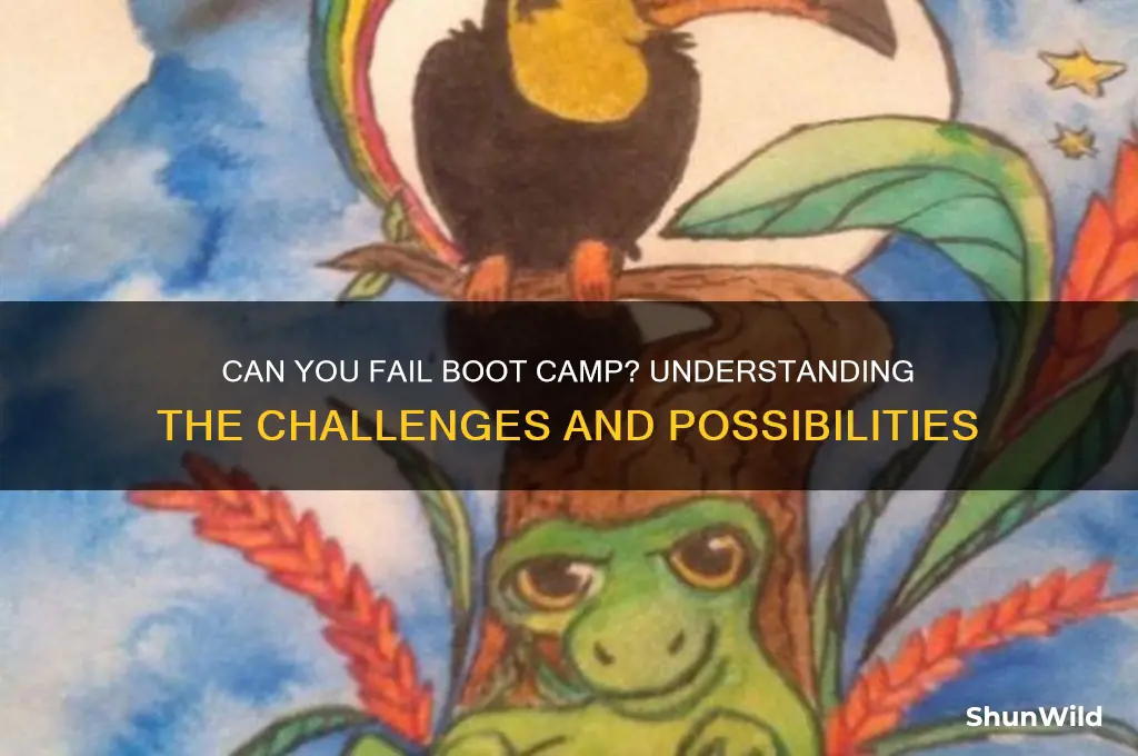 can you fail boot camp
