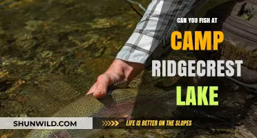 Fishing at Camp Ridgecrest Lake: Rules, Tips, and Best Spots