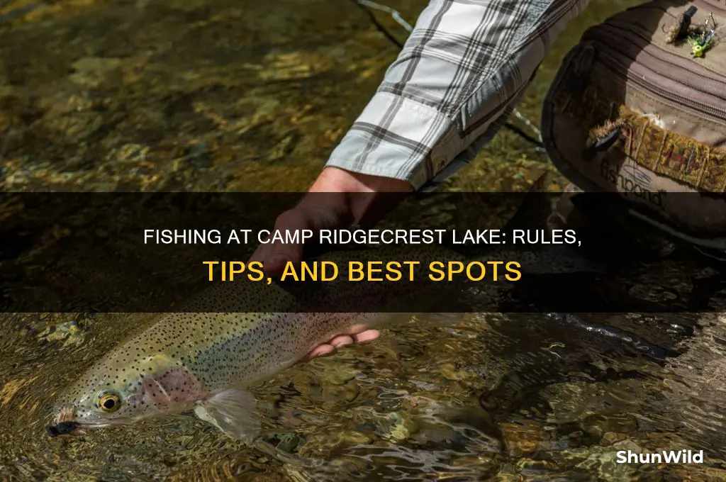 can you fish at camp ridgecrest lake