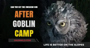 Obtaining the Owlbear Cub Post-Goblin Camp: A Comprehensive Guide