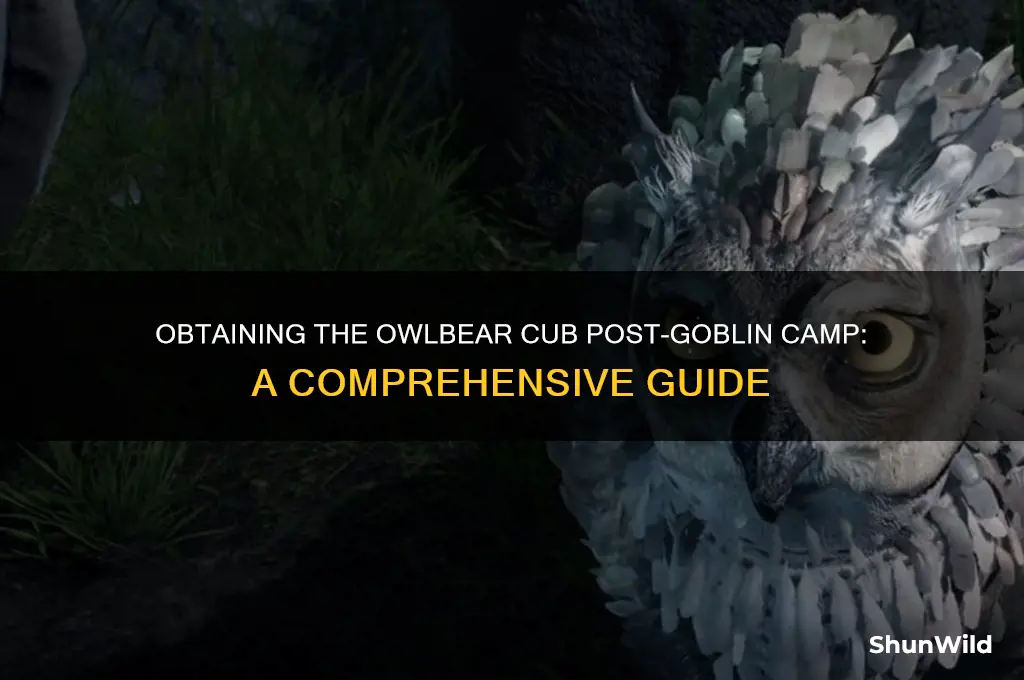 can you get the owlbear cub after goblin camp