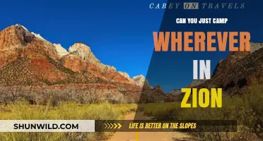 Can You Camp Anywhere in Zion? Rules and Tips for Visitors
