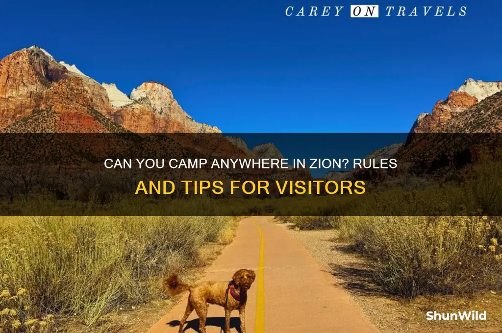 can you just camp wherever in zion