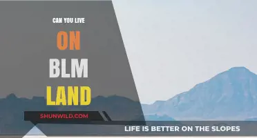 Living on BLM Land: Legalities, Challenges, and Practical Considerations