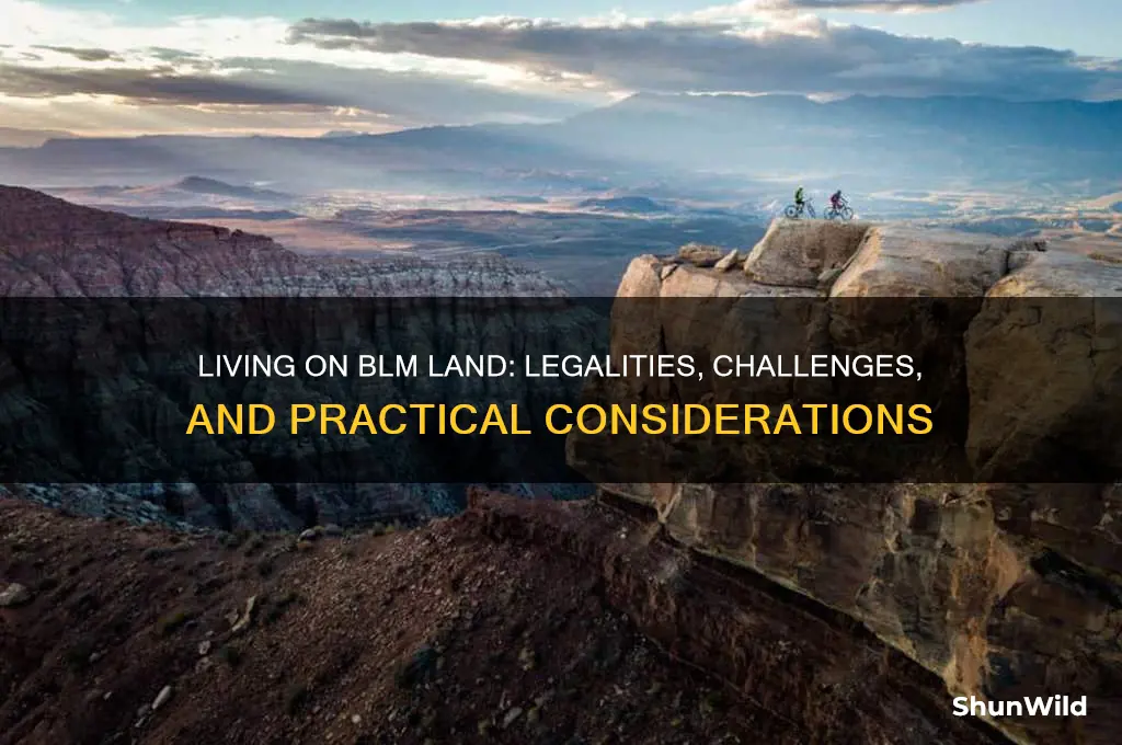 can you live on blm land