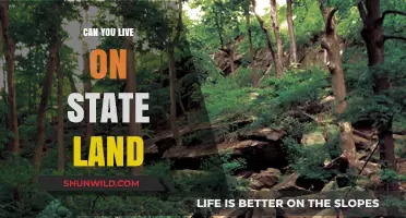 Living on State Land: Legalities, Challenges, and Practical Considerations