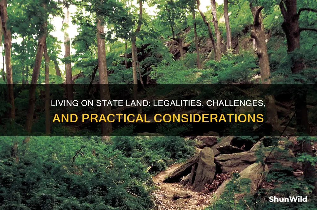 can you live on state land