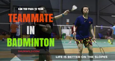 Badminton Passing: Can You Pass to Your Teammate?