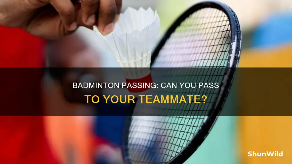can you pass to your teammate in badminton