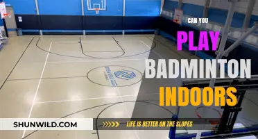 Badminton: Indoor and Outdoor Play