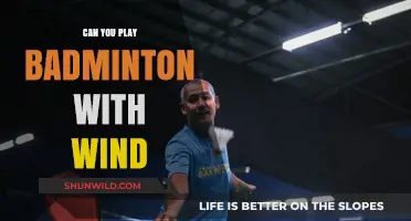 Badminton in the Wind: Strategies for Play