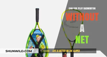 Badminton Without a Net: Is It Possible?