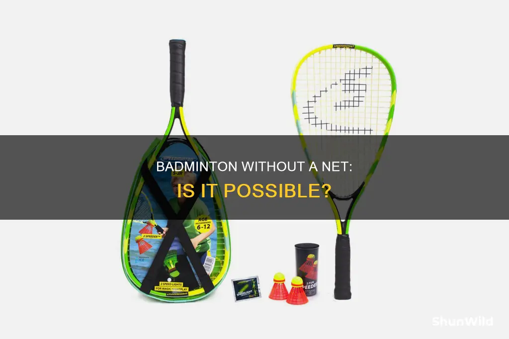 can you play badminton without a net