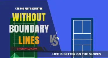 Badminton Without Boundaries: Exploring New Ways to Play