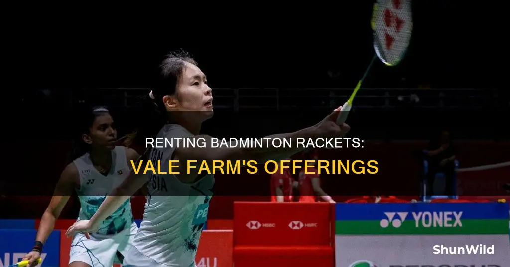 can you rent badminton rackets at vale farm