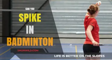Smashing Spikes: The Art of Deception in Badminton