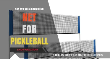 Badminton Net for Pickleball: What's the Verdict?