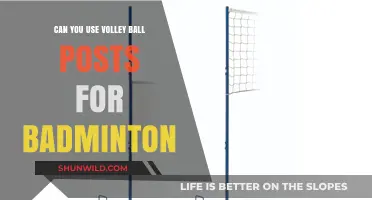 Volleyball Posts for Badminton: A Smart Solution?