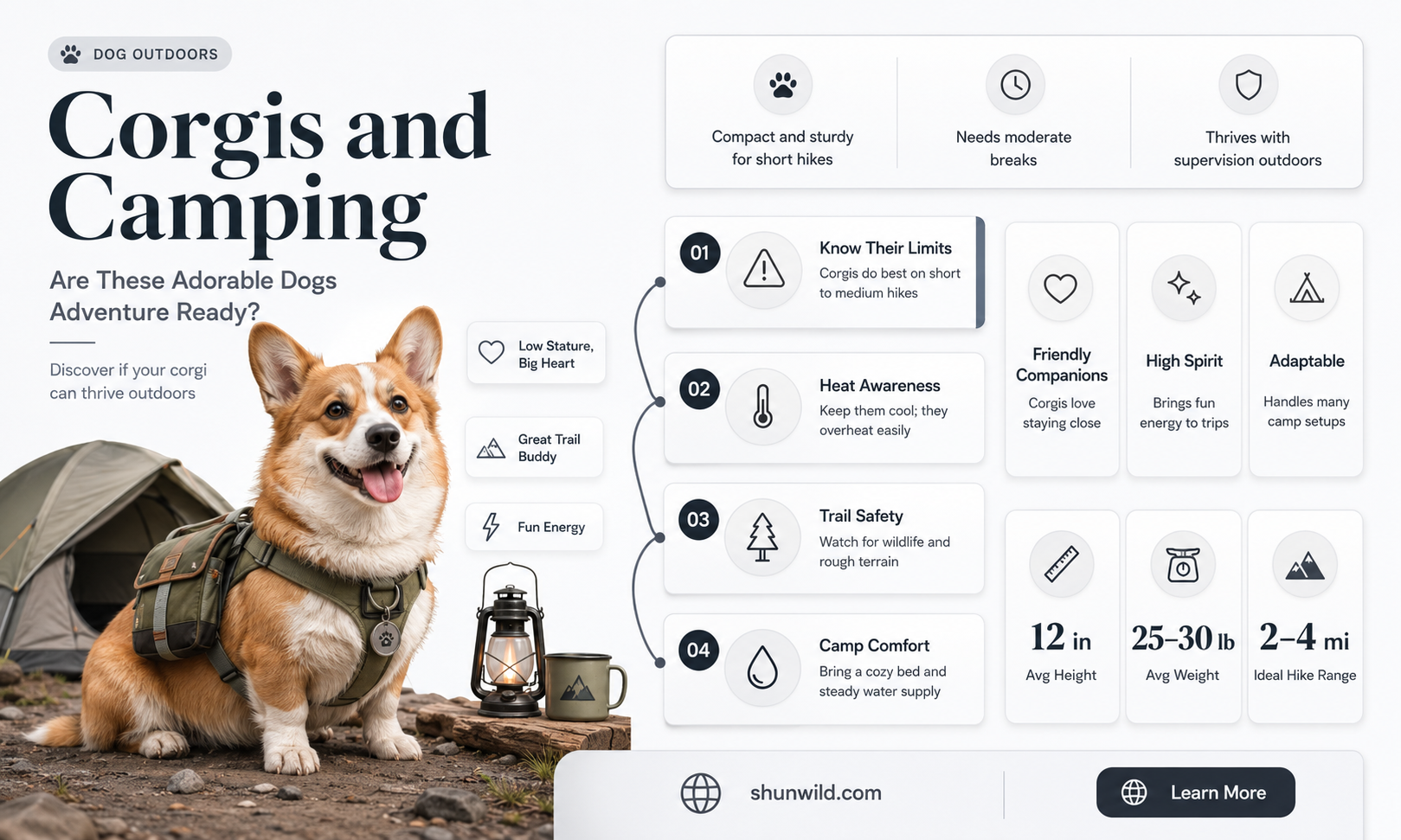 are corgis good camping dogs