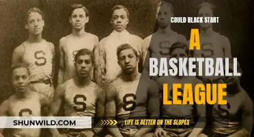 Black's Basketball League: A Dream Start?
