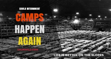 Could History Repeat Itself? The Looming Threat of Internment Camps