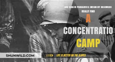 Uncovering the Truth: 506th Regiment's Discovery of a Concentration Camp