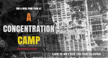 Real Pain Filmed: Inside the Harrowing Truth of Concentration Camps