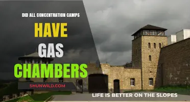 Gas Chambers in Concentration Camps: Fact or Fiction?