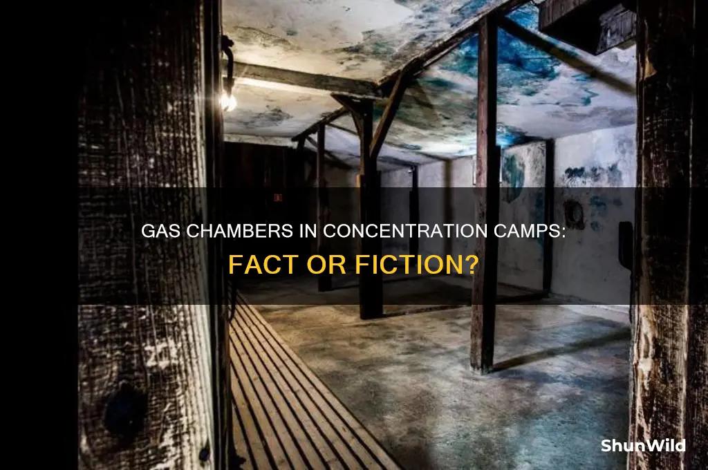 did all concentration camps have gas chambers