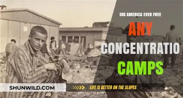 America's Role in Liberating Concentration Camps: Historical Facts Revealed