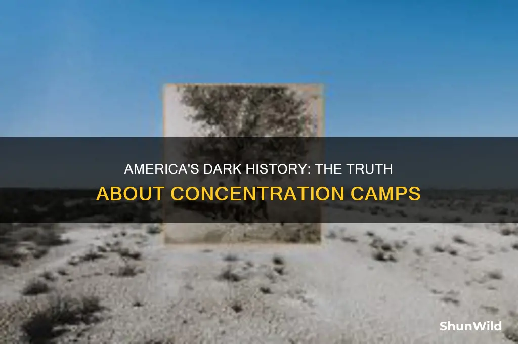 did america have concentration camps