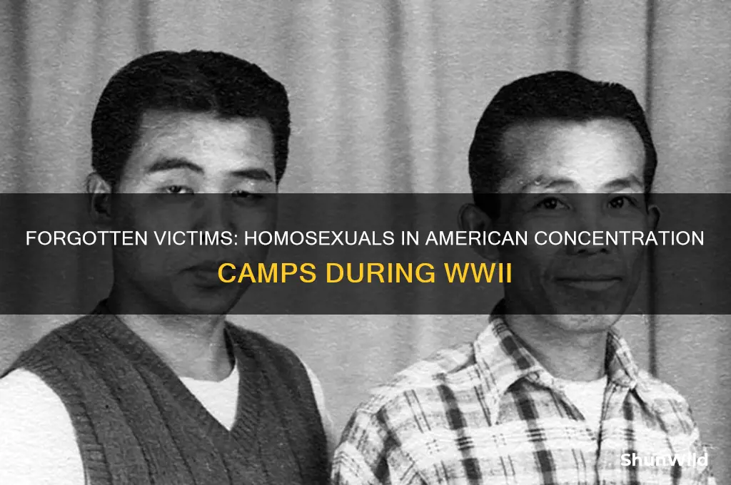 did americans leave homosexuals in concentration camps