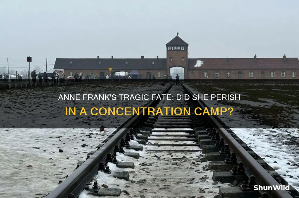 did anne frank die in the concentration camp