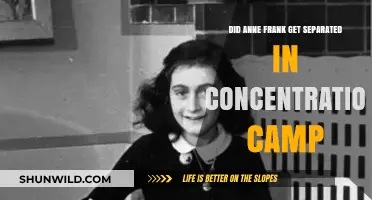 Anne Frank's Fate: Separation and Tragedy in Concentration Camps
