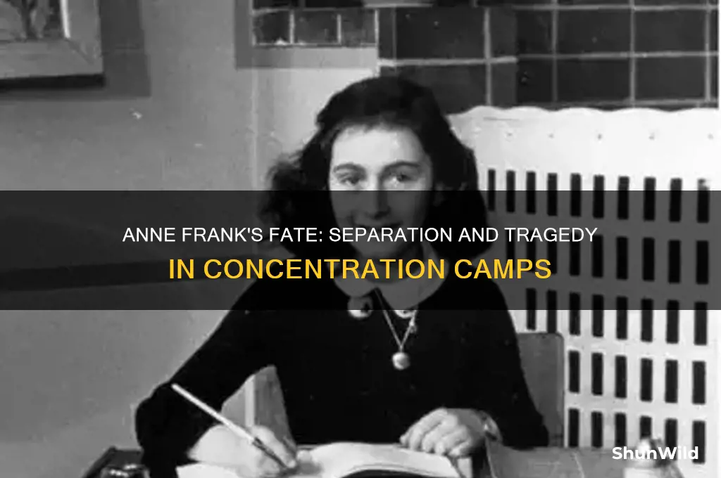 did anne frank get separated in concentration camp