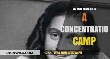 Anne Frank's Fate: Did She End Up in a Concentration Camp?