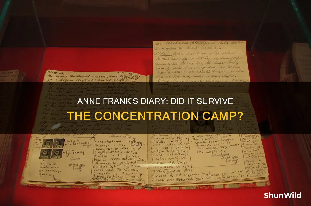 did anne frank have her diary in the concentration camp